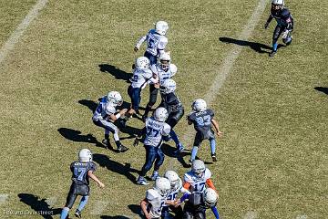 D6-Tackle  (231 of 804)